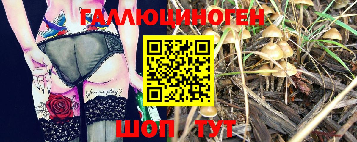 Галлюциногенные грибы прущие грибы  Вход с VPN  Галлюциногенные грибы GOLDEN TEACHER  где продают   Электрогорск 